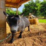 Mark Zuckerberg Hints at Being Bitcoin-er, Reviving Facebook Rumors - Crypto Bulls Club