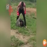 Служивший в армии боец ММА Асхаб Магомедов на своей странице в Instagram поделился роликами, на которых показательно избивает новобранцев: