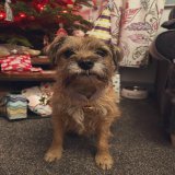 Happy Christmas to my pals far and wide, I love you all so very much #BTPosse #ilovemypals #MerryChristmas #MerryXMas