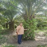 Promoting export of sustainable vegetable oils! Heading towards zero waste!  #PalmOil #Sustainability #IniDiplomasi  #IndonesiaWay