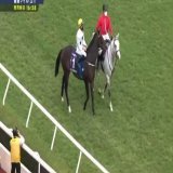 #香港マイル  誘導馬&amp;ゴールデンシックスティ 伝統芸発動
