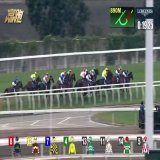 #香港スプリント  世界のトップジョッキーマクドナルドでさえも抑えられない メイケイエールのこの掛かり 世界のホースマンよ！見てくれ これが日本近代競馬の結晶 エールちゃんの暴走だ0:03111.6K views