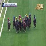 #香港スプリント  メイケイエール 「池添ぇぇぇぇぇぇぇぇぇぇ！！ 　なんで私と香港に来てくれないの！ 　私はマクドナルドよりヘルシーな 　モス派なのよ！うぉぉぉ！！」  マクドナルド 「なんだこの娘は...!   調教の時と全然違うじゃん！ ダメだ..抑えられない！」
