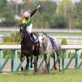 約9ヶ月前阪神三冠馬タイトルホルダー の背中を見て懸命にくらいつき レース後には空馬で駆け抜けたり メロディーレーンちゃんに見守られたり と色々ネタ枠になったが、 その後ステイヤーズSで重賞を勝って 今回サウジでも海外馬相手に重賞制覇 ある意味永遠に記憶に残りそうな シルヴァーソニック好き