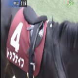#弥生賞  　　　　　　　　　　　　　　典 トップナイフ