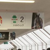 お疲れ様スキルヴィング 競馬は大好きだが今までダービー見てきて正直一番後味悪いダービーだった タスティエーラはもちろん凄いし 他の馬達も頑張った けどスキルヴィングはゴールは 出来たが助からなかったこれが悔しい 競馬は結果がわからないからこそ面白いがそこが怖い所もある 来年は全頭無事に