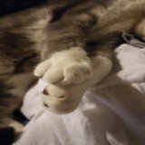 Bonjour voici un Bibi de r&eacute;confort  (prend soin de toi)