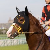可愛さ優勝 #ジャックドール &times; #大阪杯