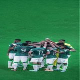 فاز أو خسر&hellip; هُزم أو انتصر&hellip; تأهل أو خرج من الباب الكبير&hellip; نقول للصقور: صنعتم أياماً جميلة لنا&hellip; وأفرحتم قلوبناً&hellip; لن ننسى مافعله رجال الأخضر  #السعوديه_المسكيك