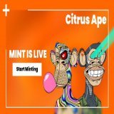 Don't miss out on the epic Borovik and Ben collab! ThisIsOrange available for holders, mint it today!     #memecoin $meme $pepe $psyop $ben #ben #memecoinseason #dyor #1000x #gem $bnb hong kong $btc #bitcoin $eth #nfts $volt $tzuki $mx $fckit $rfd