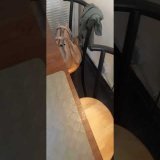 \ud83c\udde7\ud83c\uddea M0N JOUR AU TRAVAlL \ud83c\udde7\ud83c\uddea