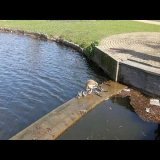 Lake \ud83c\udf3f\ud83c\udf3f\ud83c\udf3f