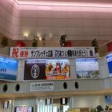 広島空港2F出発ロビーで、2022JリーグYBCルヴァンカップ優勝を祝う横断幕を掲出していただいております  また、2F出発ロビー紫色照明や、館内アナウンスも実施していただいております！ 誠にありがとうございます  #獲ったけえ頂点 #サンフレッチェ #sanfrecce #ぶちあつ!