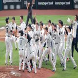 【#本日のベストショット】　 #侍ジャパン WBC優勝！歓喜の輪その\u2461   #岡本和真 #大城卓三 #大勢 #戸郷翔征 選手の巨人侍たちも喜び爆発。岡本選手は周東選手とジャンプ！戸郷投手は空に向かってガッツポーズ（撮影・長尾みなみ）  #WorldBaseballClassic  #giants #ジャイアンツ #サンスポ
