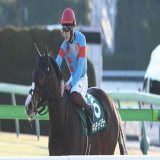【#根岸Ｓ】#ギルデッドミラー 前走の再現ならず２着　三浦「勝ち切れずに申し訳ありません」 - サンスポZBAT!  @sanspoyosououより