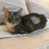 Angel is doing well, recovering from surgery.