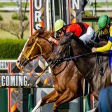 2023.04.02 阪神11R #大阪杯 #ジャックドール #武豊 騎手 いいものが見れました 強行して大阪に来て良かったです！