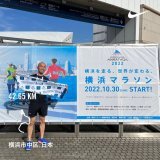#横浜マラソン ゴール。楽しかった！35km地点で足つって泣きそうになったけど、完走できたからOK。また一つ自信になる。横浜の街を走り抜けたようで、変化し続ける横浜の街が自分の中を走り抜けた気がした3時間50分でした。友だちにも会えたし最高の一日。横浜やっぱり大好きだ。小豆島帰ります。