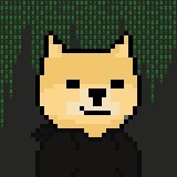 Satoshi Doginals are coming to Satoshi Punks holders. Are you ready?  #BTC    #BTCnfts #Ordinals #OrdinalsNFT #Airdrops #Dogecoin #DOGE