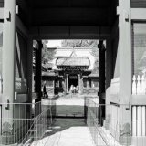 おはようございます。 選抜高校野球もコロナ前に戻り選手の頑張りを楽しませていただいています。 応援にも熱が入っているようです。 願うのは感染者が増えない事だけです。 今週も始まりましたね。  　東京都、文京区、根津神社