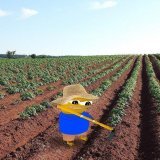 $PEPE2 airdrop is live now!  CLAIM Now:    $PEPE #PEPE2 #PEPE20 #pepecoin PEPE 2.0 memecoins #crypto #ETH #Binance #Arbitrum $ARB  #ETH #FOMC #Crypto #SUI #NFTs #Bitcoin #airdrop #Ethereum