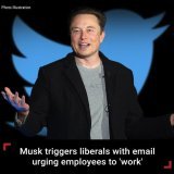An honest day's work = A liberal's worst nightmare. #ElonMusk #TwitterShutdown