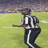 Refs at the vikes game