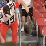 The Cleveland #Browns are 2-0 when wild animals are in First Energy Stadium