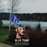 R.I.P @Turfthedog  2013-2022 0:49918.3K views