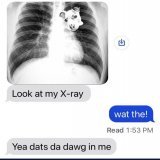 dawg.