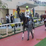 菊花賞セイウンハーデスは17着。 マイルG I並のハイペースの逃げで、直線バタバタ。 面白い競馬だったけど、結果が悪すぎ。 もう馬券を買ってくれた皆様、ごめんなさい。 ブリンカーが効きすぎでした。 次は作戦を考え直します。 許してくれる方、「いいね」ください。 わしは『いいね』大好きです。
