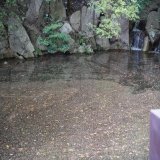 みなさまおはようございます。 今朝のホテル椿山荘東京はポツポツと雨が降り始めていました。 対局室の外の池は庭園の桜の花びらが浮き、ゆっくりと時計回りに動いていました。 #名人戦 #ホテル椿山荘東京 #渡辺明 #藤井聡太