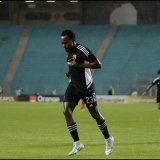 The lion  #CAFCLFinal