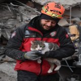 Rescue of a cat after spending 5 days under the rubble in the earthquake in Turkey. #CatsOfTwitter #Caturday  #TurkeyQuake