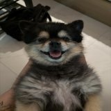 그래 가자