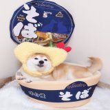 年越し柴そば よいお年を〜！ #柴犬　#大晦日　#年越しそば