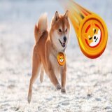 UPDATE: Shiba Inu's upcoming Shibarium debut could increase its value by attracting more users with cheaper fees.   #SHIB #SHIBARMY #Shibarium #bbcqt #Eurovision&nbsp; #Crypto #BEN #Bitcoin #counteroffensive