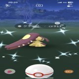 無料パス消化でクチートやったら色違いきた〜  #ポケモンGO #ポケモンGO色違い #Pok&eacute;monGO