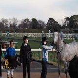 23/01/28 東京競馬場　10R クロッカスS  ヤクシマくん、1着( &bull; ̀&omega;&bull;́ )\u2727 おめでとうございます