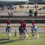 東京競馬場、ダイヤモンドS  今年もミライヘノツバサくんが前方誘導( &bull; ̀&omega;&bull;́ )\u2727