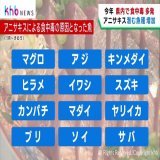 アニキサスによる食中毒が増加　原因となる魚の種類が増える  多発している食中毒について、主な原因となっているのがアニサキスですが、寄生する魚の種類が増加していることが分かりました。
