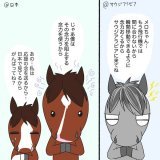 今日のメロちゃん 361  念力対決と千羽あひるさん 今年も日本馬のみんなが強さを見せつけられる一日になりますように  #メロディーレーン  #タイトルホルダー  #シルヴァーソニック