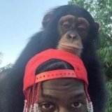 When did Lil Yachty get a Monkey?