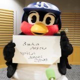 【 #ヤクルト セ・リーグ連覇 おめでとう】  #つば九郎 からもお祝いコメントが届いています！  #swallows #熱燕 #すわほー #ショウアップナイター