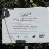 Biology department&rsquo;s John Pascarella and Amber Ulseth @RioFluss and @SHSUgeo Joe Hill spent the morning at the Macaw Recovery Network sanctuary to discuss #SHSU study abroad opportunities for our students.  Cheers to a Costa Rica course in the 