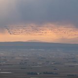 北の大地、北海道の広大な石狩平野を舞うブルーインパルスが美しかった 明日の本番は晴れるかな？  #ブルーインパルス  #エスコンフィールド  #千歳基地