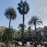 Barcelona, it was the first time that we met \ud83c\udfb6.....@harriethope88