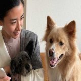 可愛すぎー\u2762   #黒島結菜　#クロサギ  #ちむどんどん #保護犬　#保護犬を家族に #犬好きさんと繋がりたい  #犬のいる暮らし