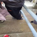 There is a SKUNK in the stands at the #Browns game.