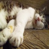 きょうも祝日のはず&hellip;&hellip;